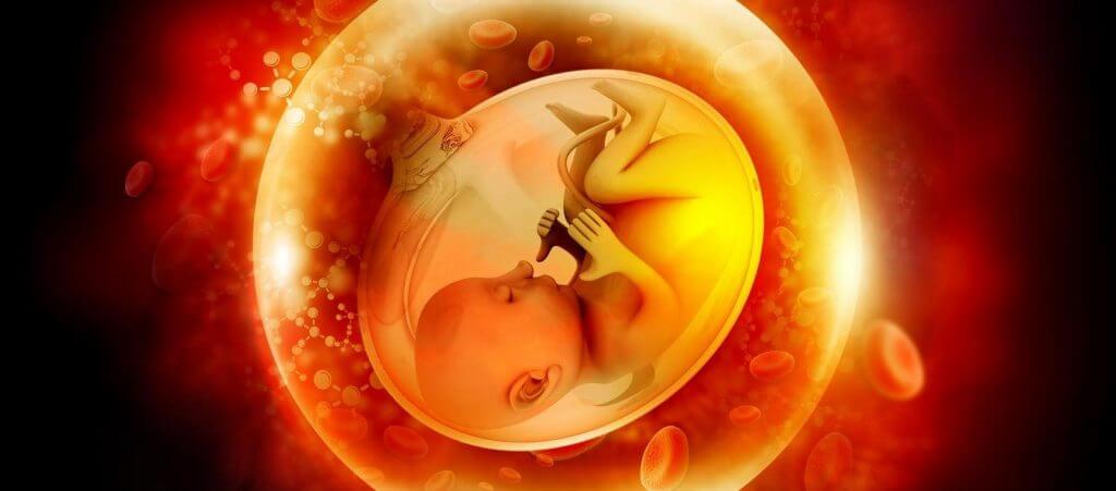 Έμβρυα μικρόσωμα: Ο κίνδυνος αποβολής αυξάνεται
