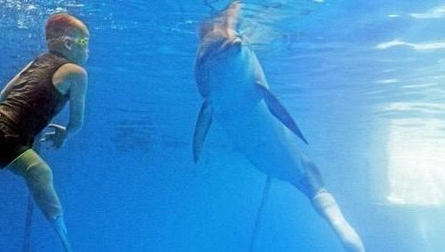 Aπίστευτο: Παιδί με προσθετικά μέλη κολυμπά με δελφίνι με προσθετική ουρά