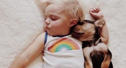 Η ιστορία αγάπης και... ύπνου ενός μωρού και ενός σκύλου