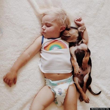 Η ιστορία αγάπης και... ύπνου ενός μωρού και ενός σκύλου