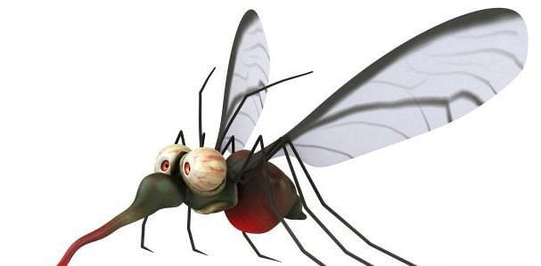 Κι όμως τα κουνούπια προτιμούν τις εγκύους!