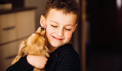 Παιδιά και ζώα: μια τρυφερή σχέση