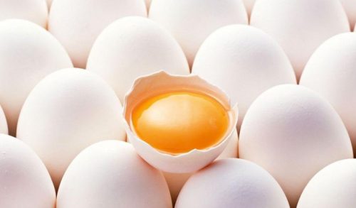 Κρόκος Αυγού: Εσείς μπορείτε να καταλάβετε ποιος φαίνεται πιο υγιεινός;