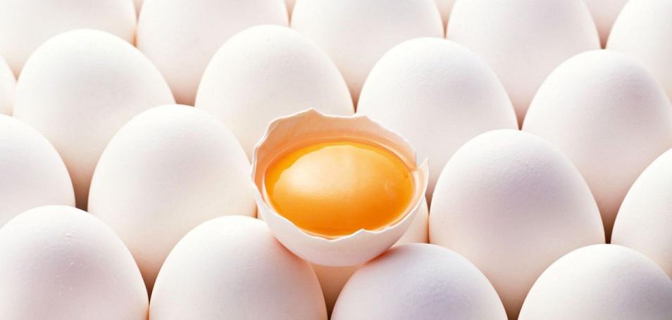 Κρόκος Αυγού: Εσείς μπορείτε να καταλάβετε ποιος φαίνεται πιο υγιεινός;
