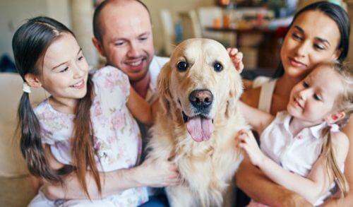 Quiz: Ποια είναι η καλύτερη ράτσα σκύλου για τη δική σας οικογένειά;