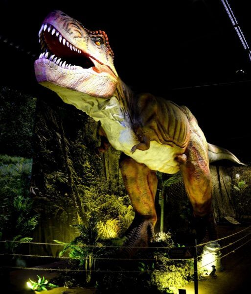 &Tau;&omicron; &pi;&alpha;&iota;&delta;ί &sigma;&tau;&eta;&nu; &pi;ό&lambda;&eta;: 20+3 &pi;&rho;&omicron;&tau;ά&sigma;&epsilon;&iota;&sigmaf; &gamma;&iota;&alpha; &nu;&alpha; &pi;&epsilon;&rho;ά&sigma;&epsilon;&tau;&epsilon; έ&nu;&alpha; &upsilon;&pi;έ&rho;&omicron;&chi;&omicron; &Sigma;&alpha;&beta;&beta;&alpha;&tau;&omicron;&kappa;ύ&rho;&iota;&alpha;&kappa;&omicron; &mu;&epsilon; &tau;&alpha; &pi;&alpha;&iota;&delta;&iota;ά &sigma;&alpha;&sigmaf;!