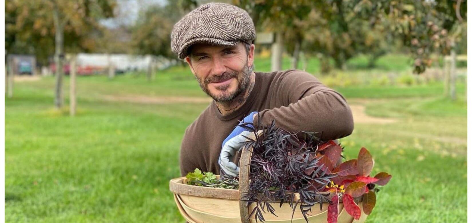 Ντέιβιντ Μπέκαμ: Φιλάει την κόρη του στο στόμα και το διαδίκτυο διχάζεται