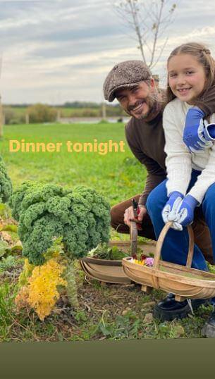 &Nu;&tau;έ&iota;&beta;&iota;&nu;&tau; &Mu;&pi;έ&kappa;&alpha;&mu;: &Phi;&iota;&lambda;ά&epsilon;&iota; &tau;&eta;&nu; &kappa;ό&rho;&eta; &tau;&omicron;&upsilon; &sigma;&tau;&omicron; &sigma;&tau;ό&mu;&alpha; &kappa;&alpha;&iota; &tau;&omicron; &delta;&iota;&alpha;&delta;ί&kappa;&tau;&upsilon;&omicron; &delta;&iota;&chi;ά&zeta;&epsilon;&tau;&alpha;&iota;