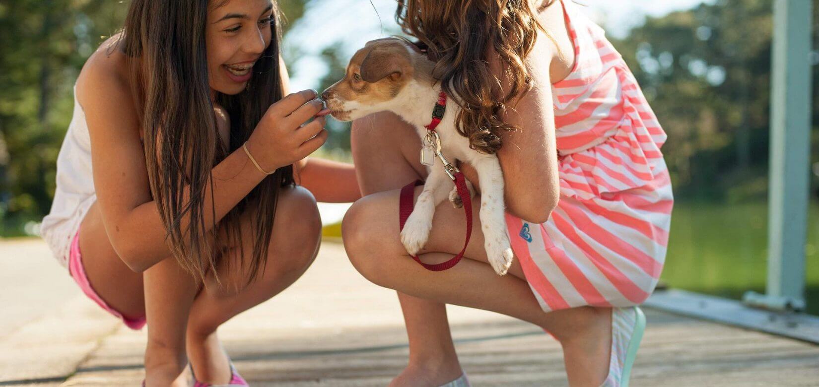 Ηπατίτιδα σε παιδιά: Ερευνάται αν η αύξηση στα κρούσματα συνδέεται με τους σκύλους