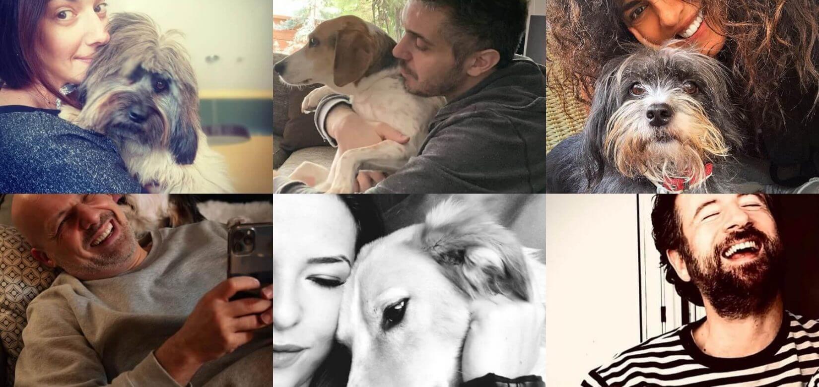 Παγκόσμια Ημέρα Αδέσποτων και οι Έλληνες celebrities φωτογραφίζονται αγκαλιά με τα ζωάκια τους