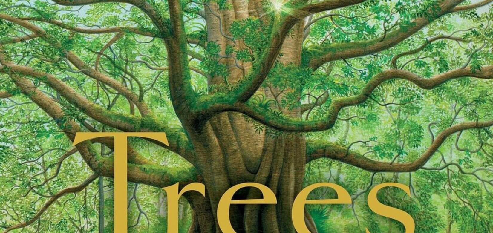 Trees: Το παιδικο βιβλίο που δεν πρέπει να λείπει από τη βιβιοθήκη σας
