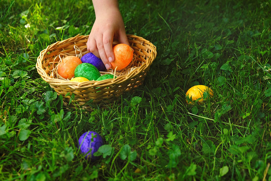 Πάσχα: Τι να προσέξετε στα αυγά και το αρνί – Χρήσιμες συμβουλες