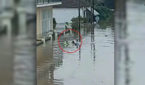 Μητέρα σώζει με φουσκωτό τα παιδιά της από τις πλημμύρες στην Καρδίτσα