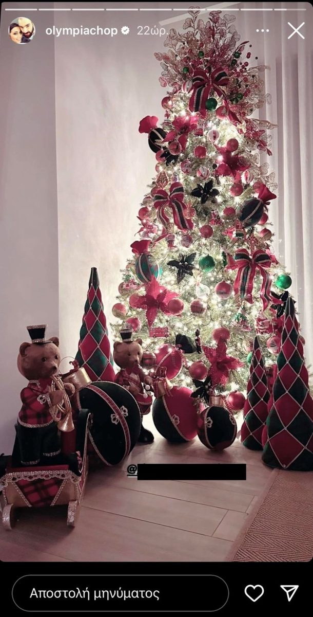Χοψονίδου - Σπανούλης: Το χριστουγεννιάτικο δέντρο στο σπίτι τους και τα γλυκίσματα που έκαναν τα παιδιά τους