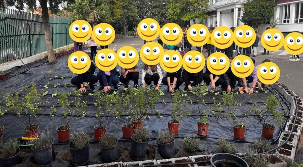 H πιο ξεχωριστή αυλή σχολείου - Ο λαχανόκηπος που καλλιεργούν γονείς και μαθητές
