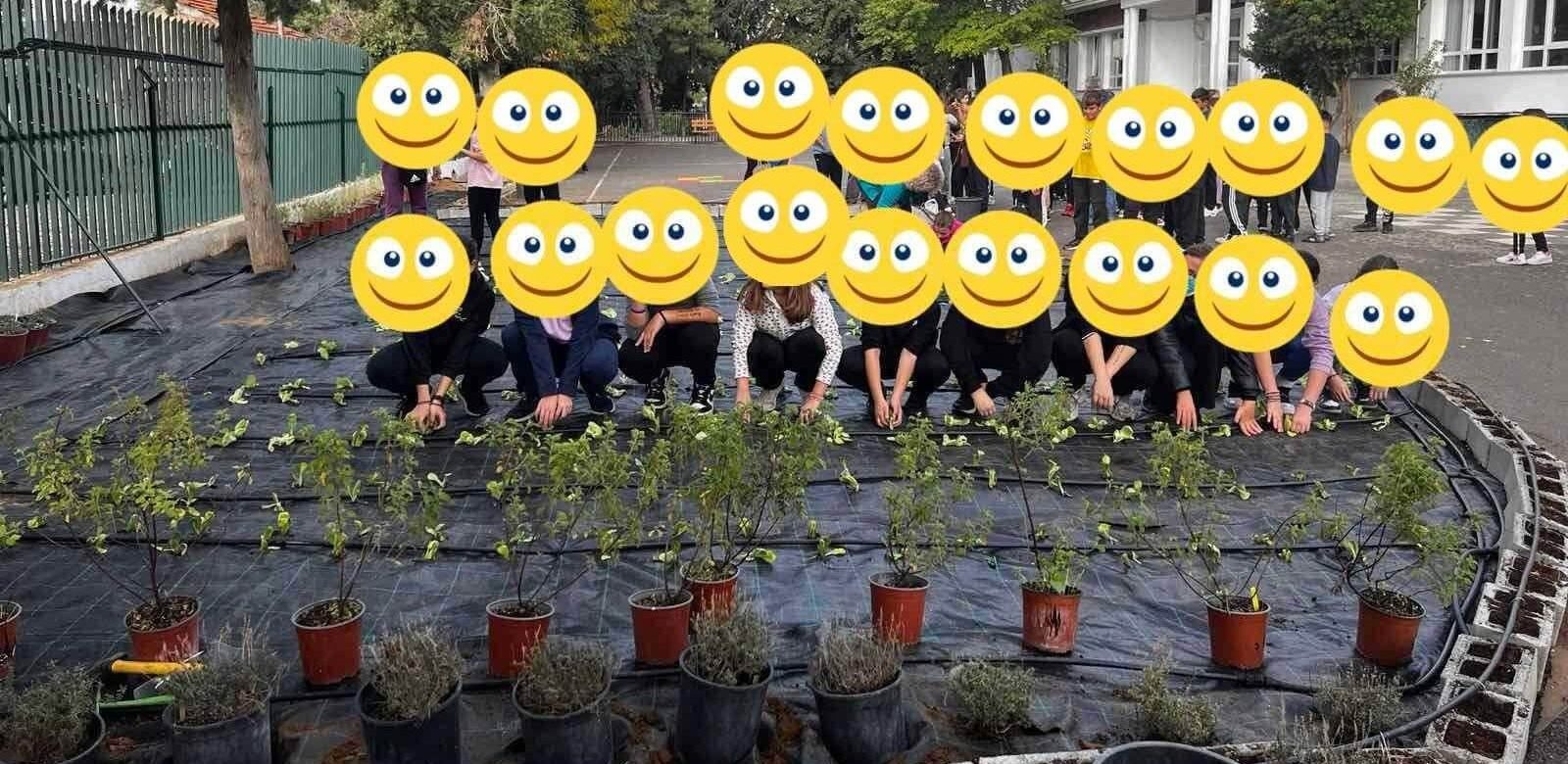 H πιο ξεχωριστή αυλή σχολείου - Ο λαχανόκηπος που καλλιεργούν γονείς και μαθητές