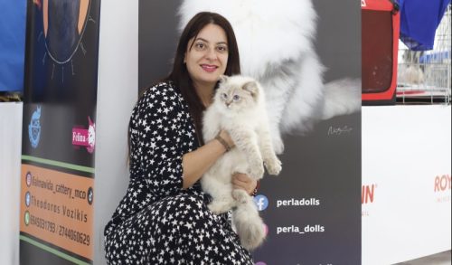 Cat Expo 2024: Η Κατερίνα Ανυφαντή, Πρόεδρος της Felina Association Greece, μας εξηγεί τι θα δούμε στη μεγαλύτερη γιορτή για γάτες στην Ελλάδα!