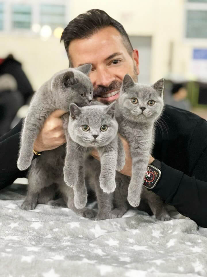 Cat Expo 2024: Πάνω από 3.000 επισκέπτες στη μεγαλύτερη γιορτή για γάτες!