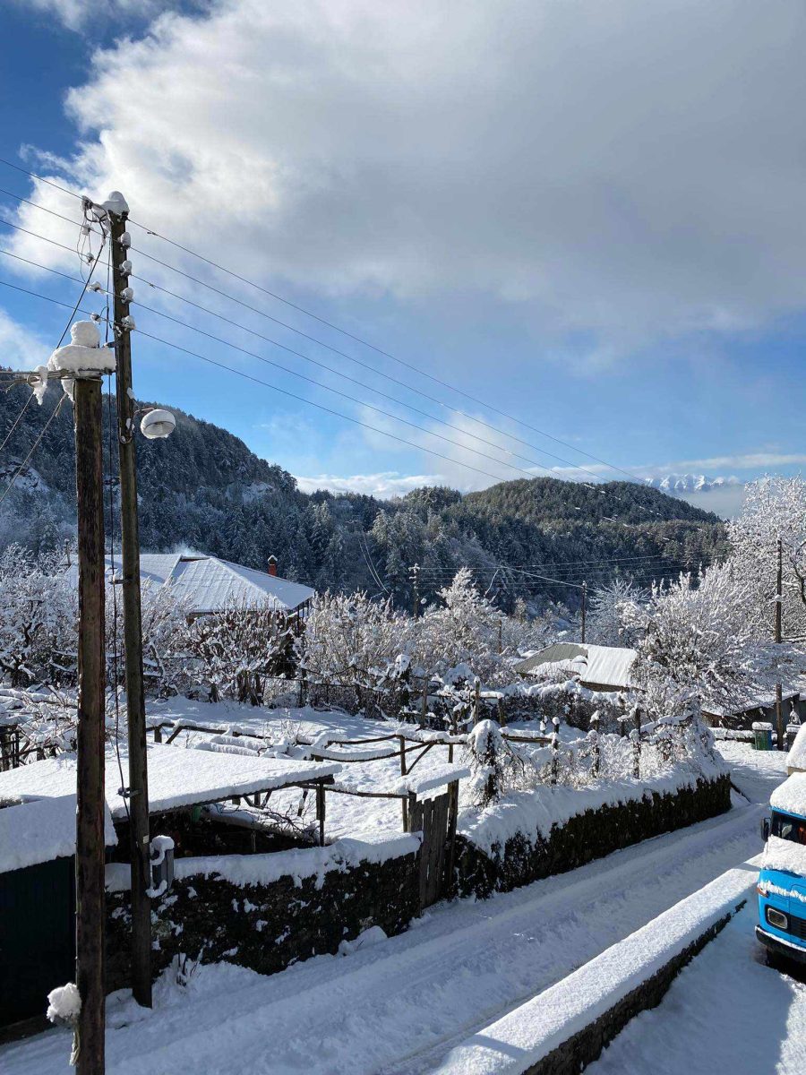 O &Gamma;&omicron;&lambda;&gamma;&omicron;&theta;ά&sigmaf; &epsilon;&nu;ό&sigmaf; 14&chi;&rho;&omicron;&nu;&omicron;&upsilon; &mu;&alpha;&theta;&eta;&tau;ή &sigma;&tau;&omicron; &Zeta;&alpha;&gamma;ό&rho;&iota; &gamma;&iota;&alpha; &nu;&alpha; &phi;&theta;ά&sigma;&epsilon;&iota; &sigma;&chi;&omicron;&lambda;&epsilon;ί&omicron;