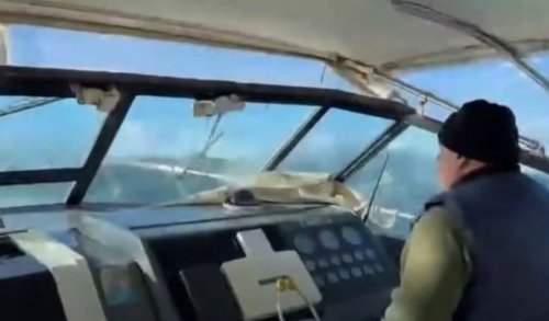 Σκιάθος: Καπετάνιος αψήφησε τους ανέμους και μετέφερε άρρωστο βρέφος στον Βόλο (vid)